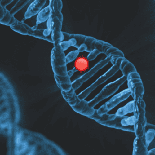 Cyprus IVF Success Rates: How Preimplantation Genetic Testing (PGT) and NGS Boost Fertility Outcomes